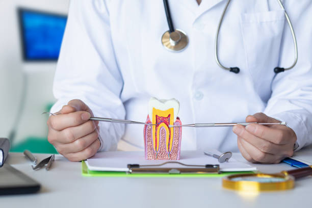 Best Orthodontic Emergency Dentist in Middleborough Center, MA